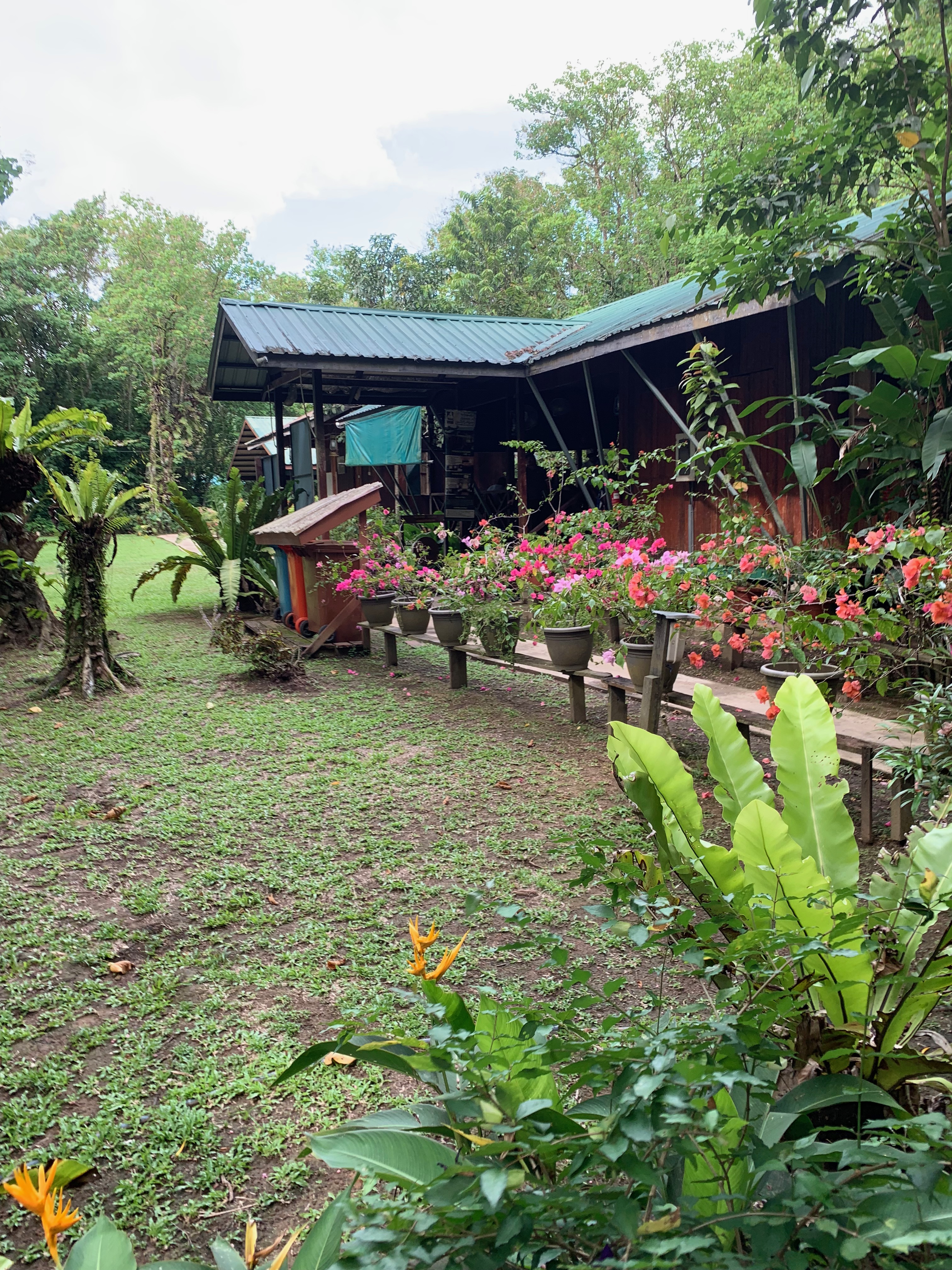 The Kinabatangan River Cruise- SABAH, BORNEO - 2019