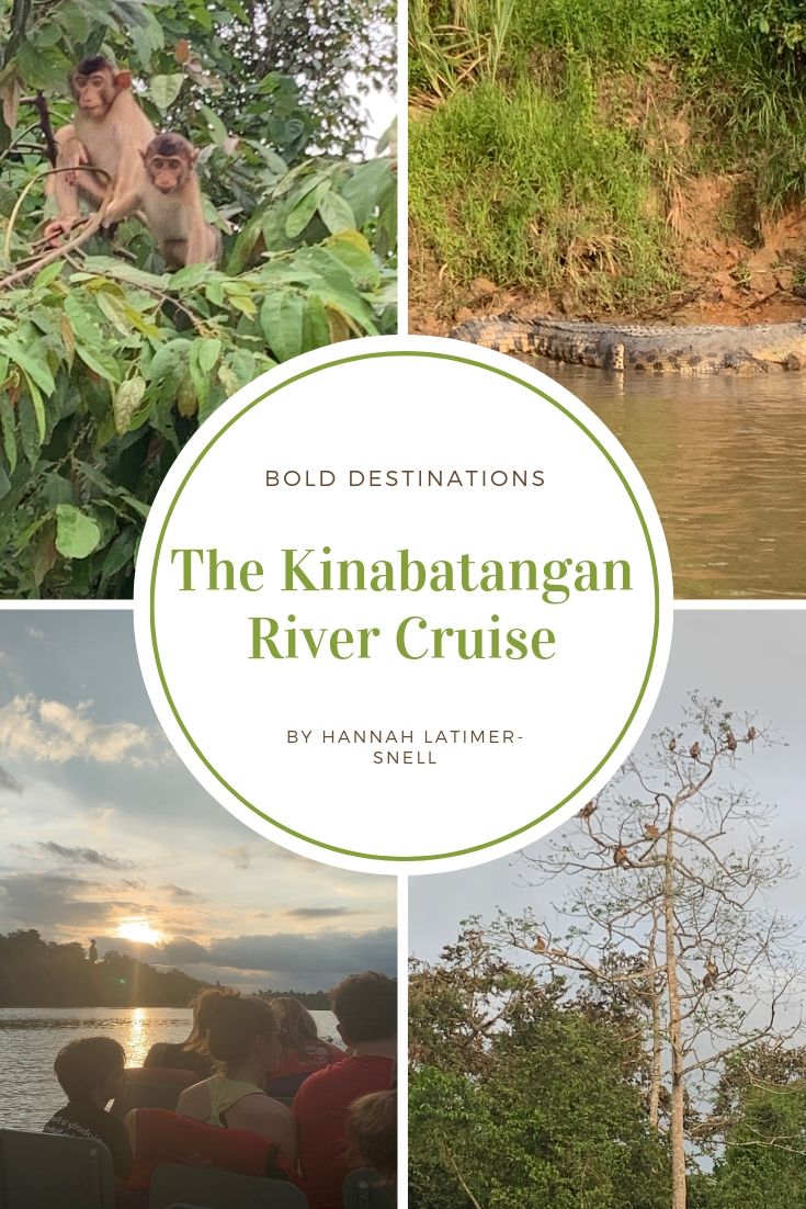 The Kinabatangan River Cruise- SABAH, BORNEO - 2019